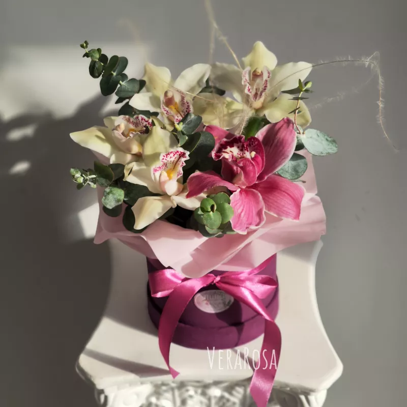 Орхидеи в бархатной коробке «Принцесса»
