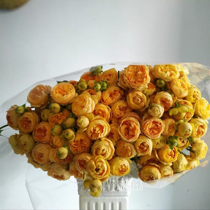 Букет с желтыми розами «Пион» 1